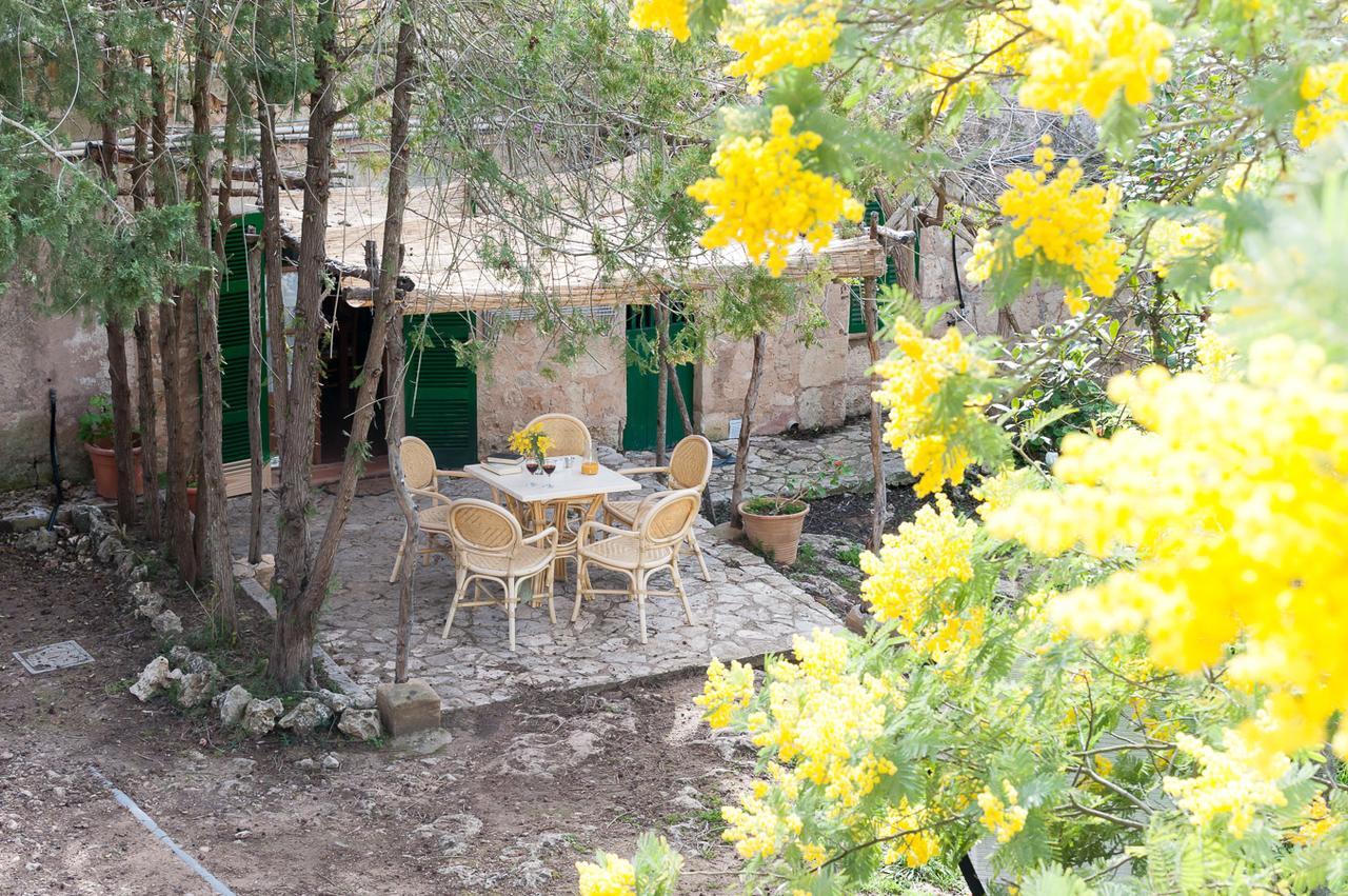 Sa Casa Rotja Βίλα Sineu  Εξωτερικό φωτογραφία
